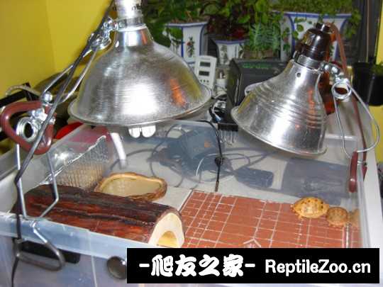 223429lrpjjjjsrd28usyg.jpg