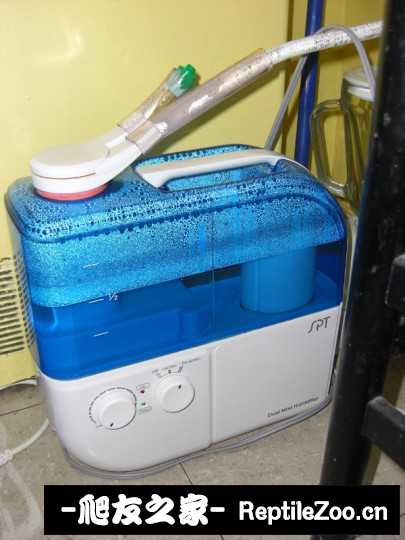 223430iutw44wrdq4pobn4.jpg