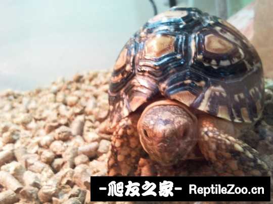 223936laswojozwjrytcyq.jpg