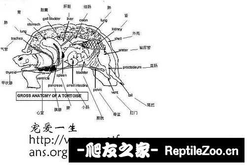 224051l1vso19v7dzk7hn7.jpg