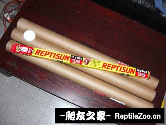 224522htst2dv2dl3dsopa.jpg