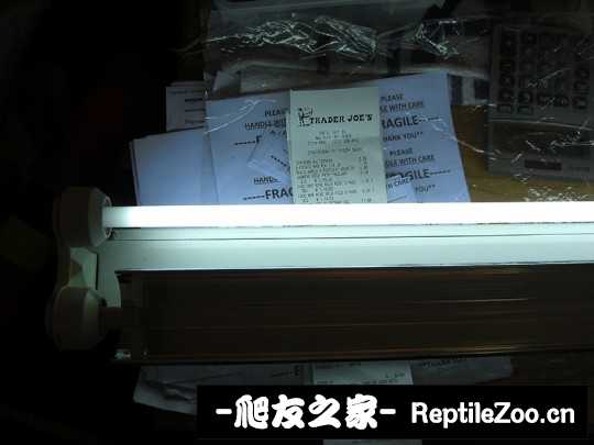 224523lnhc0mcp11rp9rn0.jpg