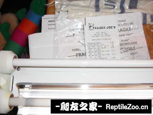 224523xr2b6tvrr74n0rad.jpg