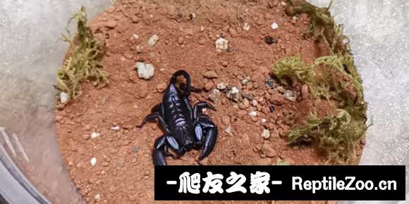 display_picture.php?url=http%3A%2F%2Ftiebapic.baidu.com%2Fforum%2Fw%253D580%2Fsign%3D3fcef0407c600c33f079dec02a4d5134%2Fc60b8e26cffc1e17de2fbf655d90f603728de970.jpg
