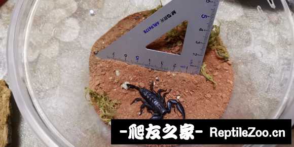 display_picture.php?url=http%3A%2F%2Ftiebapic.baidu.com%2Fforum%2Fw%253D580%2Fsign%3Ddfe9ed9c0d4c510faec4e21250582528%2F0f20b5014a90f6032b20af132e12b31bb151ed70.jpg