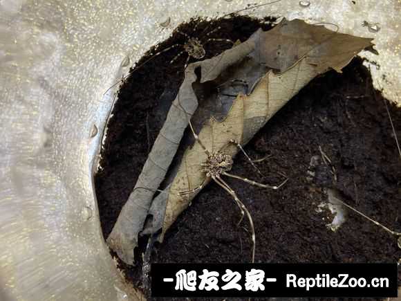 display_picture.php?url=http%3A%2F%2Ftiebapic.baidu.com%2Fforum%2Fw%253D580%2Fsign%3D671d25bac600baa1ba2c47b37710b9b1%2Ff97b811001e93901d91f65686cec54e737d196ee.jpg