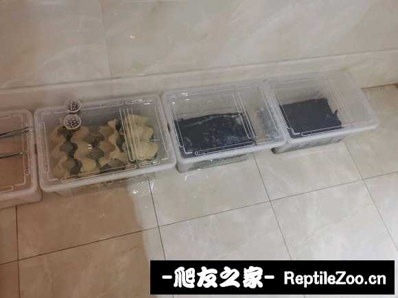 display_picture.php?url=http%3A%2F%2Ftiebapic.baidu.com%2Fforum%2Fw%253D580%2Fsign%3D58737b0742fbb2fb342b581a7f4b2043%2F54e1a14bd11373f0839f1cc5b30f4bfbfaed046d.jpg