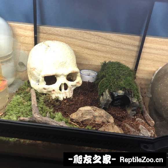 display_picture.php?url=http%3A%2F%2Fimgsa.baidu.com%2Fforum%2Fw%253D580%2Fsign%3D5abaac832a9759ee4a5060c382fa434e%2Fc705d533c895d143ff0b2cad7ff082025baf0765.jpg