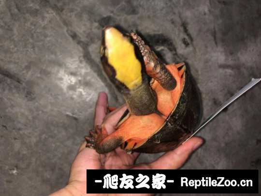 020505vbmawaowg0bcaiwu.jpg