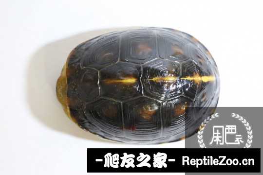 092520b1dotkufk3tcf6gy.jpg