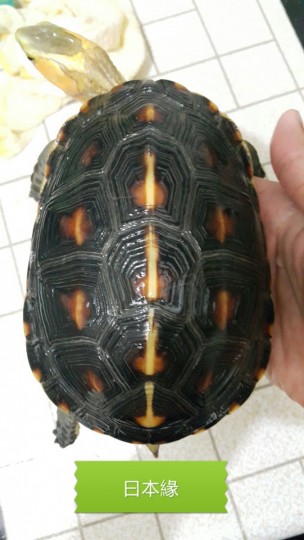 100418xuoohxgkoubc1rz8.jpg