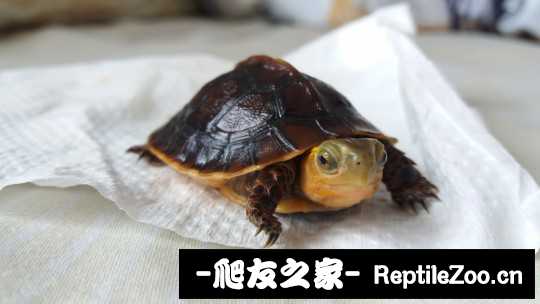 100425g2jmpwmc8jzgml8b.jpg