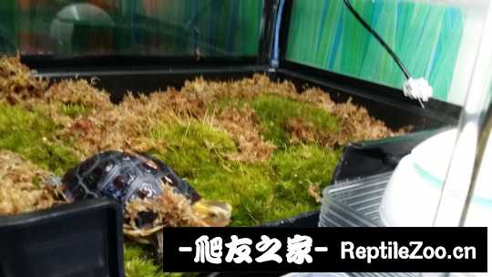 100442dw0tct3wz04jn66q.jpg