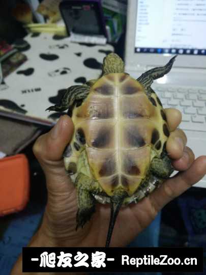 100505lz8al9363w09wl1a.jpg