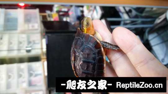 100514a6han6ha7ip87b8m.jpg