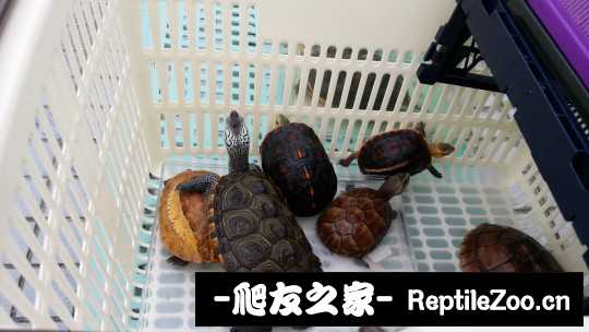100651rcyf5fe1ry5tyrwy.jpg