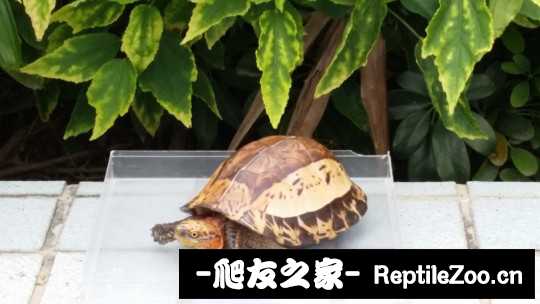 100653u4fy9nmu7crmjpzu.jpg