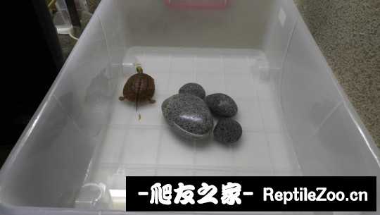 100711opneeq5pl9tezqqz.jpg