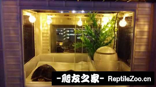 100725d9n4nf0qjs09g99s.jpg
