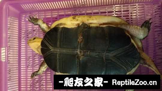 100739kpiv1e2ze20b10eb.jpg