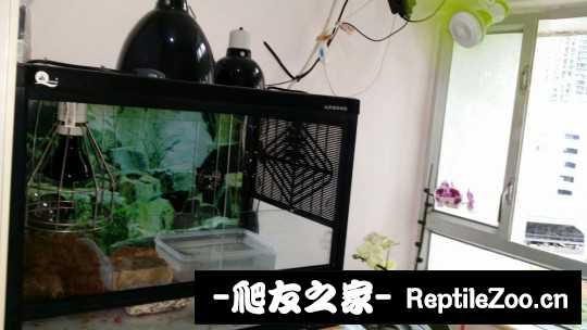 100848rbhss9yjbs131s1b.jpg