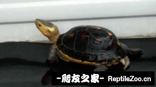 100915dl280c8ee0wlwh0c.jpg