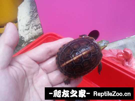 100925jt8dd88tya88yl5j.jpg