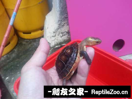 100926t3eapadzuuauu11u.jpg