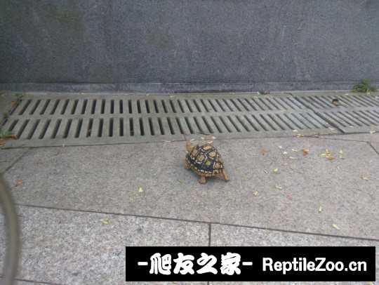 101018a1kdcz135vmw0ccu.jpg