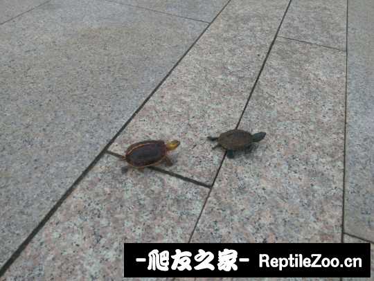 101018m0ngiooh9ibnz9g8.jpg