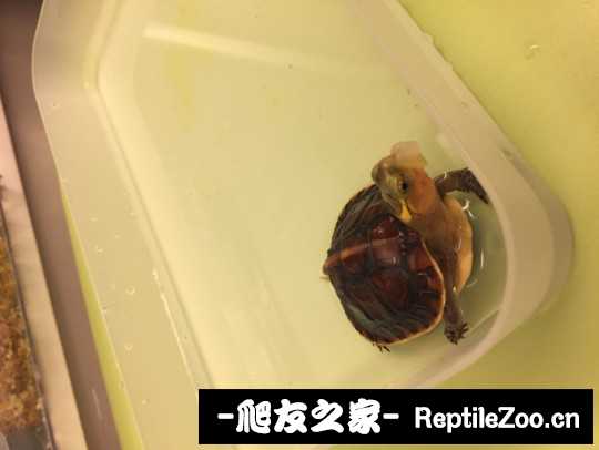 101059bckcd3w0jnjjwd4n.jpg