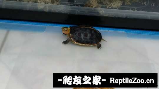 101213y6y8krrqny6br44n.jpg