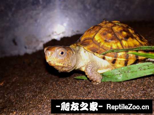 101238amiq9k4rh18ihk9e.jpg