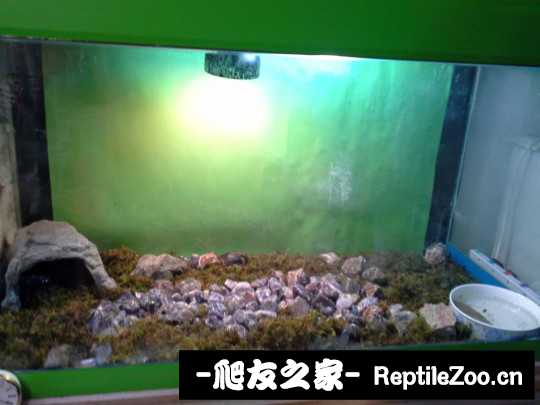 101329gs99g9919ji4yf1g.jpg