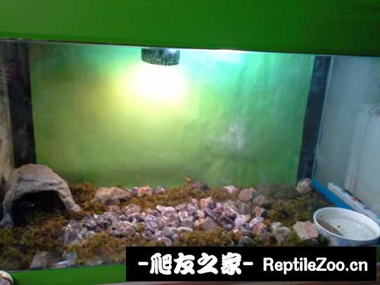101329if4hdb34588dz8f3.jpg