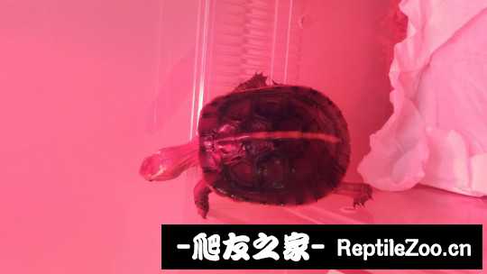 101422jcgoookk3nvbbsy3.jpg