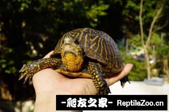 101549xu1q0yr7rpap5z7w.jpg