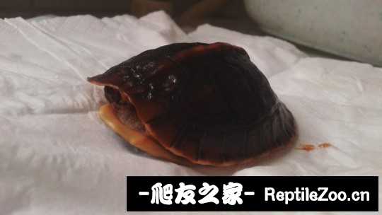 101640hweiqq89r1au9r1r.jpg