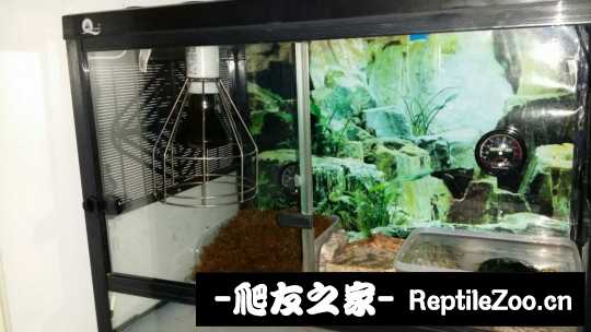 101650rx6homnf6oofohxj.jpg