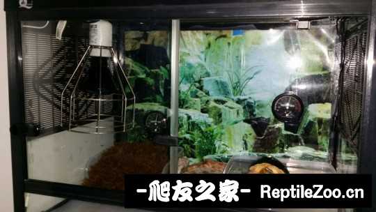 101650tcy3gjyq1gxjyq8y.jpg