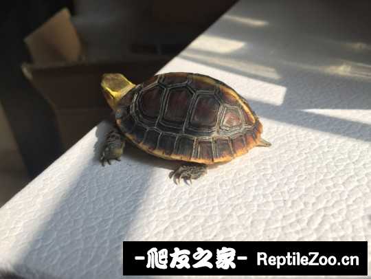 101758b8eohie25z5h0030.jpg