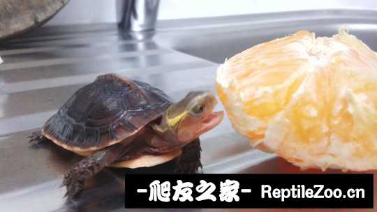 101901ilo84xuo89l8o1df.jpg