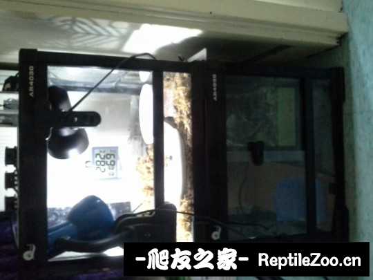 102048imkzirnn94ni4kr3.jpg