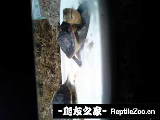 102048sj2v9s2qcsbbvob2.jpg