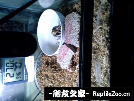 102344dx95j4f9o9yfj15u.jpg