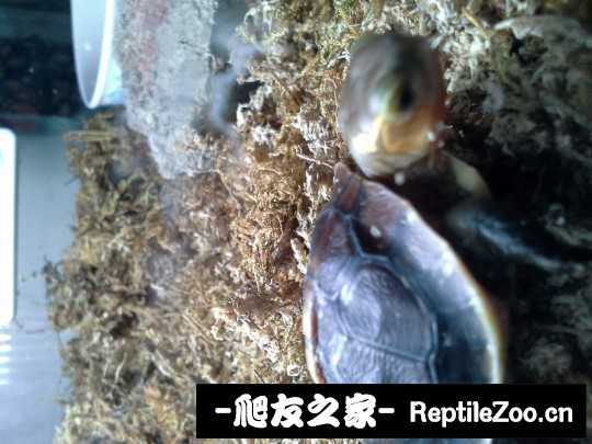 102344fs9i87yrph8shfaf.jpg