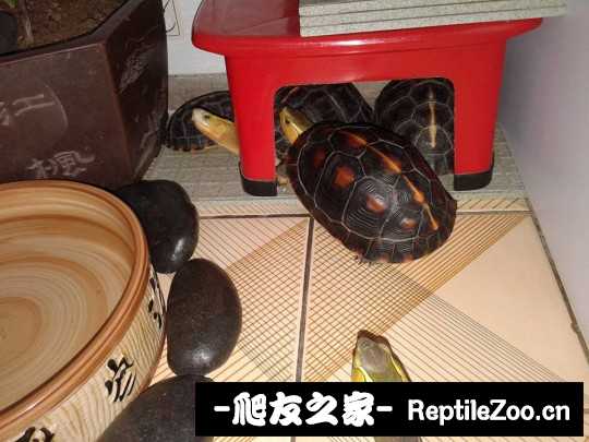 102349cqsfzs7s2j7fwvwf.jpg