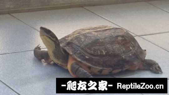 102356dexef3q6reh1e6dq.jpg