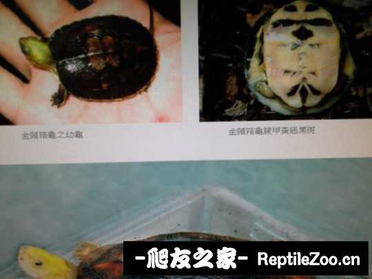 102406hkxsqy9poiba6b3b.jpg