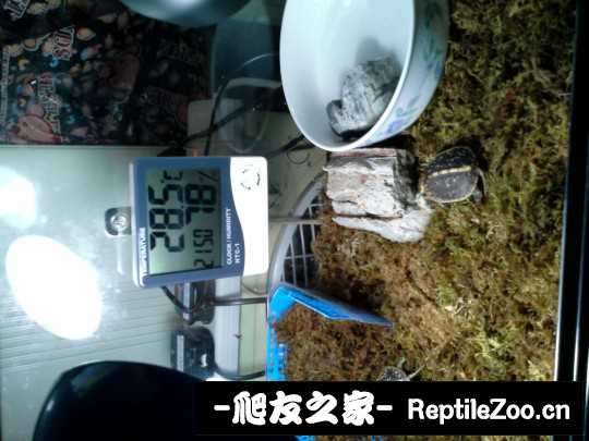102432lj5ahrvclfoddzda.jpg